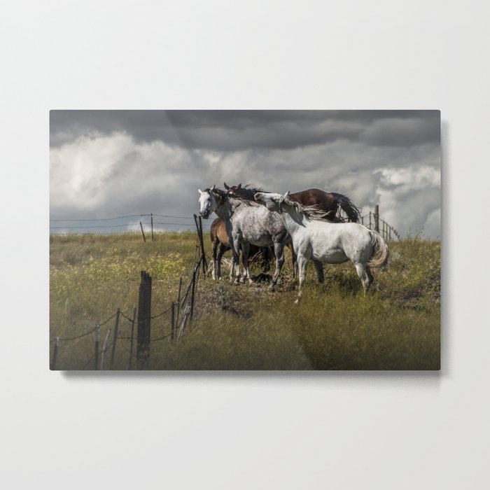 Western Horses by the Pasture Fence under a Cloudy Sky in Montana Metal Print