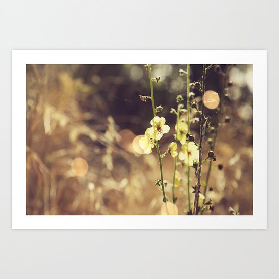 Summer Fields | 02 Art Print