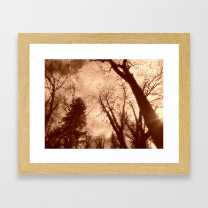 Searching For Signs of Spring Framed Art Print