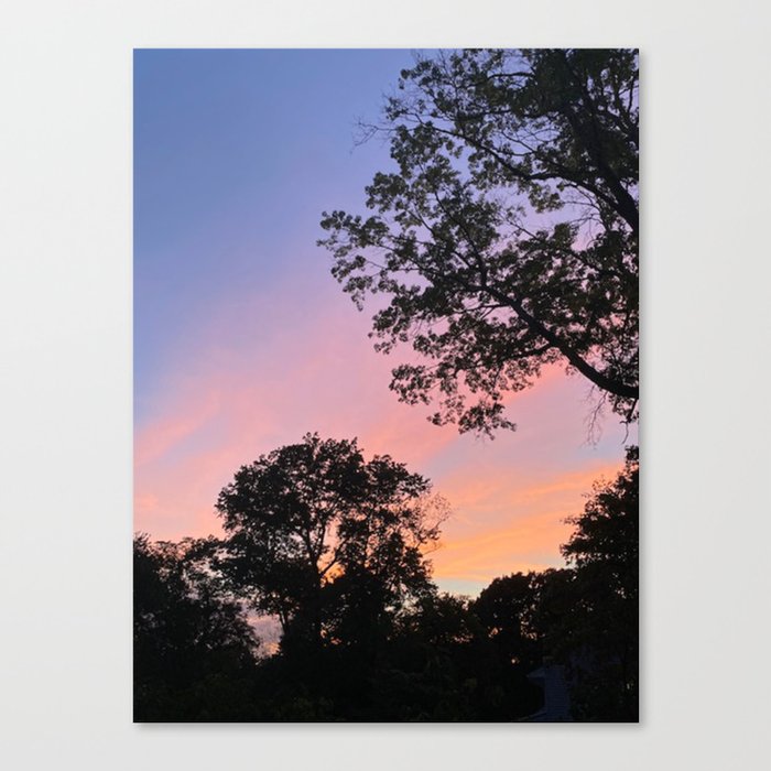 Sunset in Pink Canvas Print