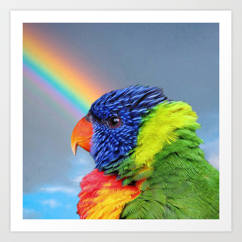 Rainbow Lorikeet Art Print By Erikakai Society6