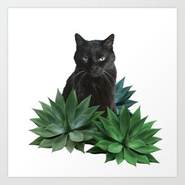 Black Cat Big Agave Leaves #blackcat #leaves Art Print