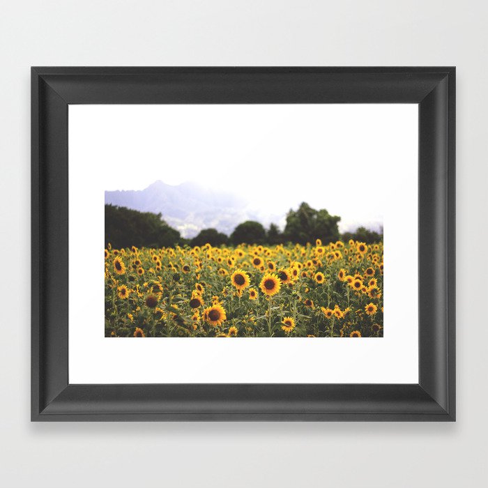 Sunflower Field Framed Art Print