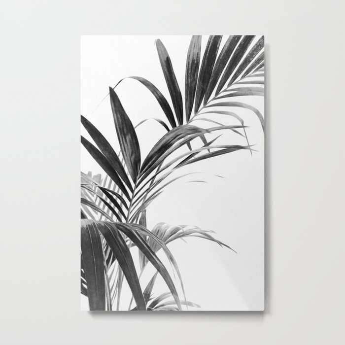 Palm Leaves Black and White 03 Metal Print