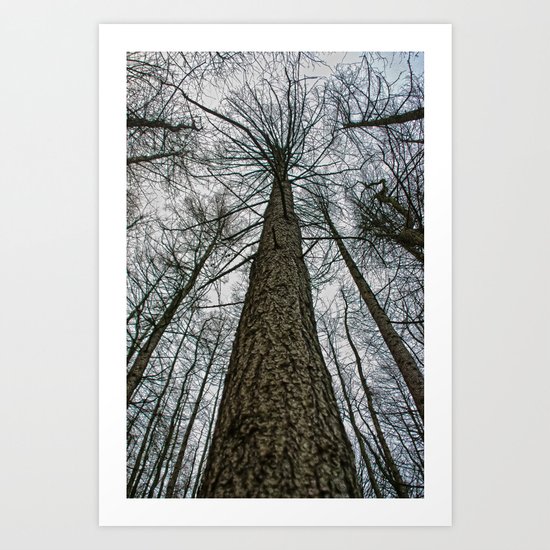 How High Art Print