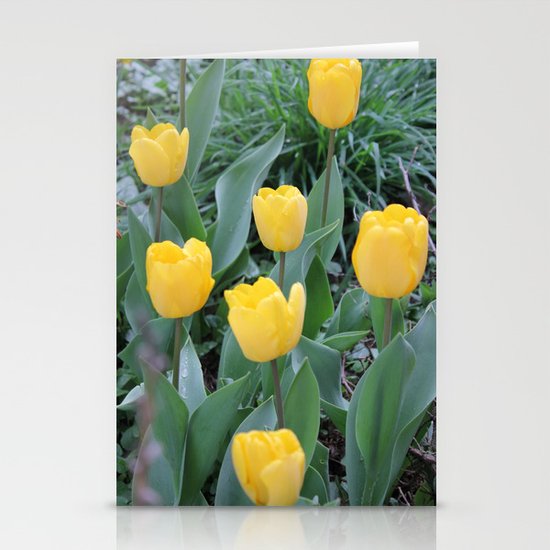 Appledorn Tulips Stationery Cards