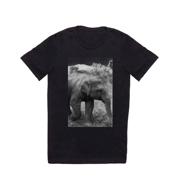 Baby Elephant T Shirt