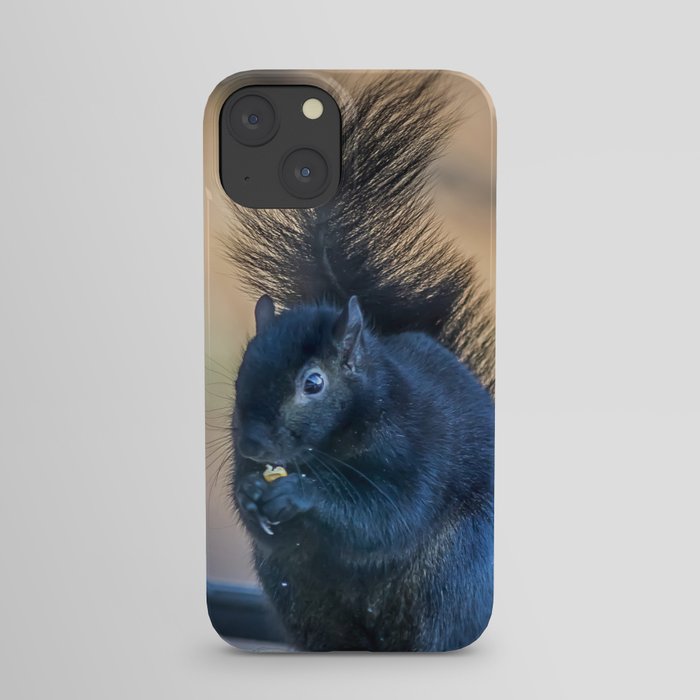 Black Squirrel iPhone Case