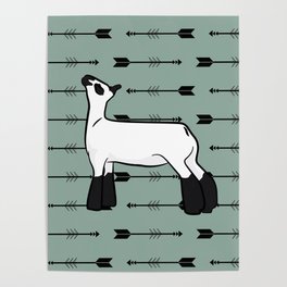 Show Lamb Arrows & Teal  Poster