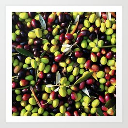 Organic Olives Art Print