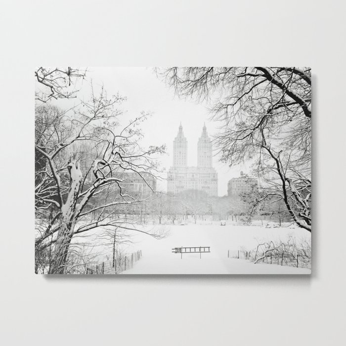 Winter Central Park New York City Metal Print By