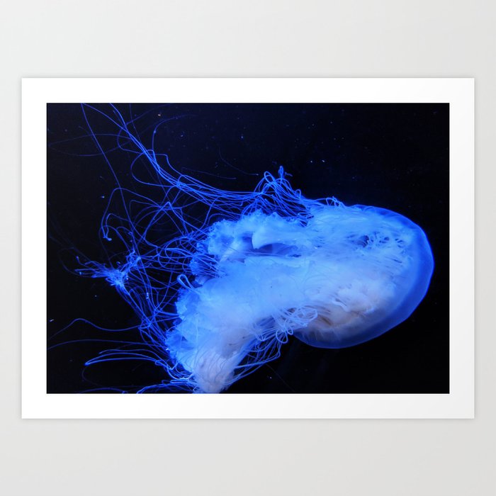 Jellyfish Suspended Art Print