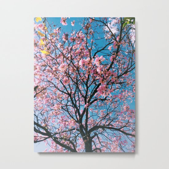 spring nuances Metal Print