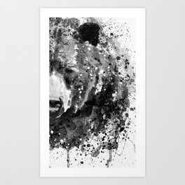 Black And White Half Faced Grizzly Bear Art Print