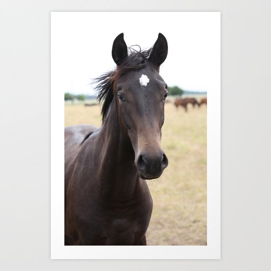 Horse Art Print