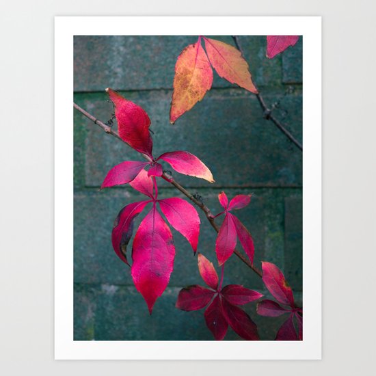 Autumn Splendour Art Print