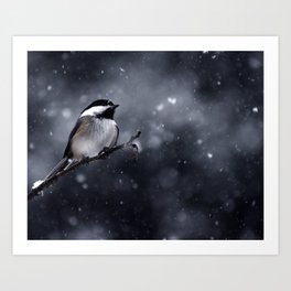Chickadee in the Snow 4 Art Print