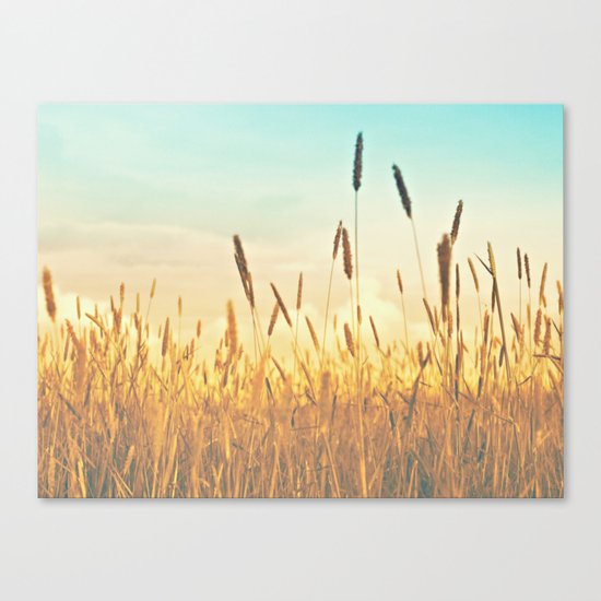 Sky Canvas Print
