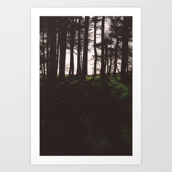 Forest. Art Print