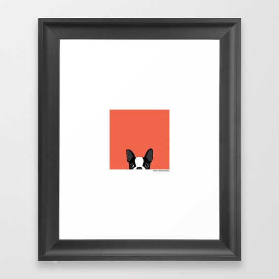 Boston Terrier Framed Art Print