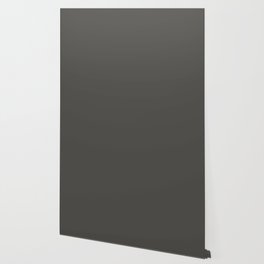 Dark Gray Green Solid Color Pantone Chimera 19-0406 TCX Shades of Black Hues Wallpaper