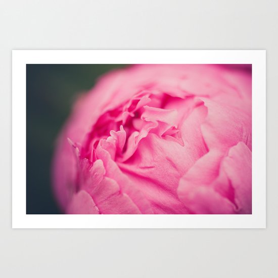 Peony Art Print