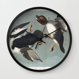 Golden-eye Duck from Birds of America (1827) by John James Audubon  Wall Clock | Johnjamesaudubon, Vintage, Drawing, Draftsman, Retro, Antique, Fruit, Patterns, Audubon, Animal 