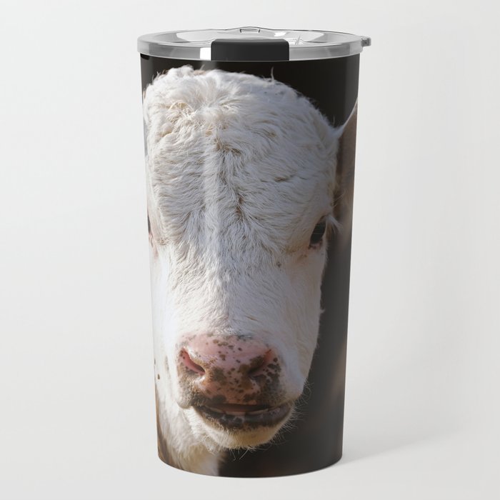 Hereford Calf Portrait Closeup Travel Mug