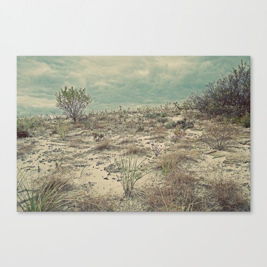Nautica: The Dune Vigil Canvas Print