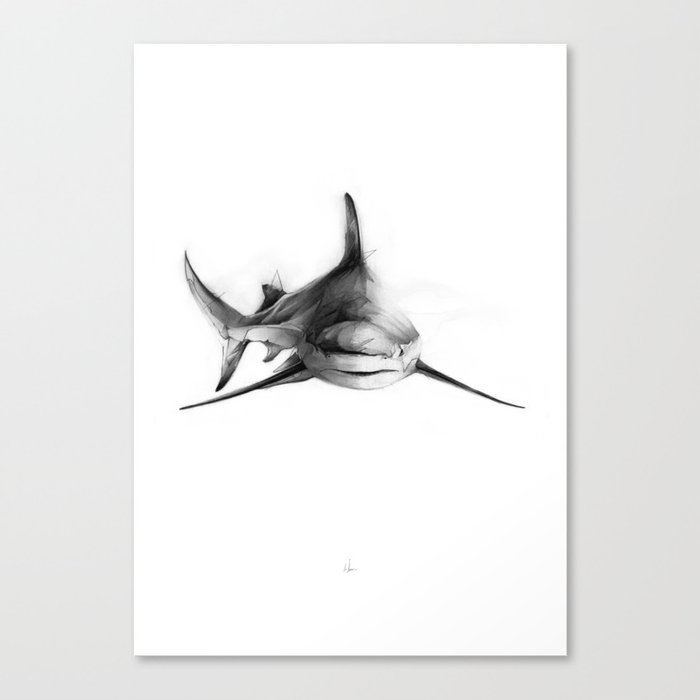 Shark III Canvas Print