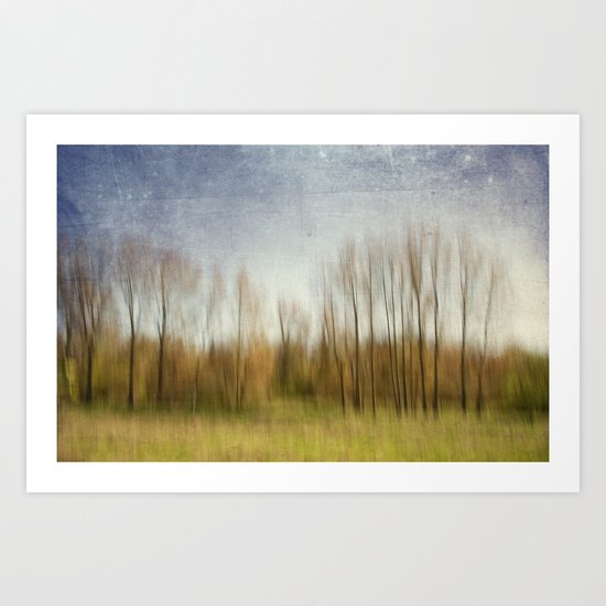 The Woods Art Print