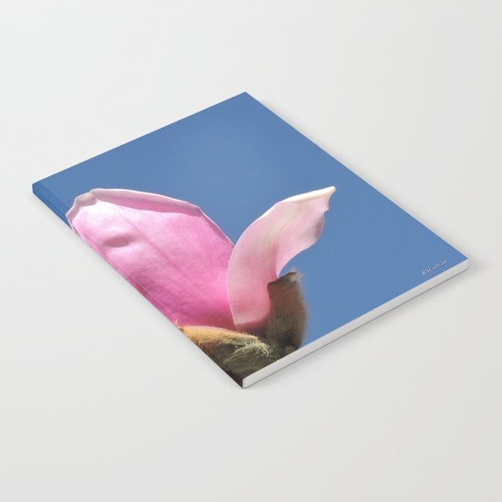 Magnolia Blossom on a Sky Blue Field Notebook