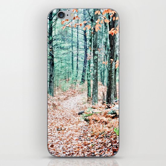 Once Upon a Time iPhone Skin