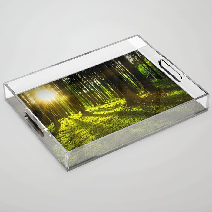 Forest Sunlight Landscape Photo Acrylic Tray