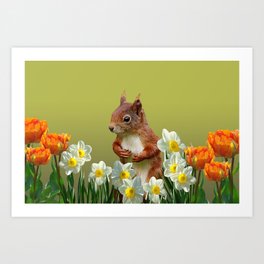 Squirrel with white daffodils Art Print