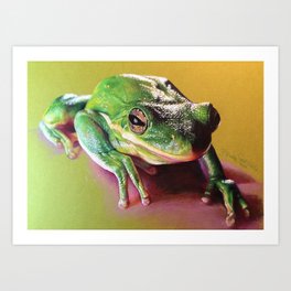 Frog Portrait Art Print
