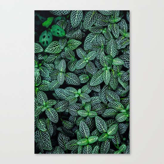 I Beleaf In You Canvas Print