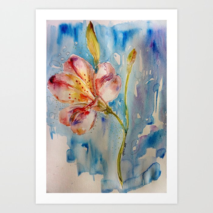 peruvian lily watercolor flower art print by yanashvets society6