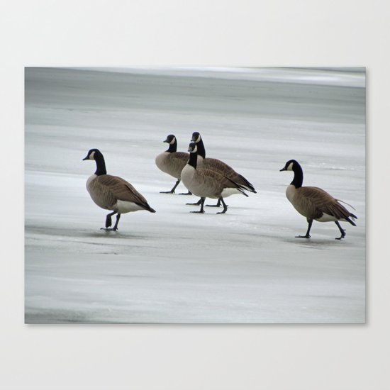 Graceful Geese Canvas Print
