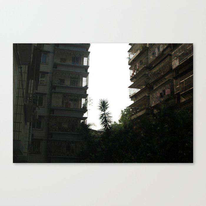 Tree in the city Canvas Print