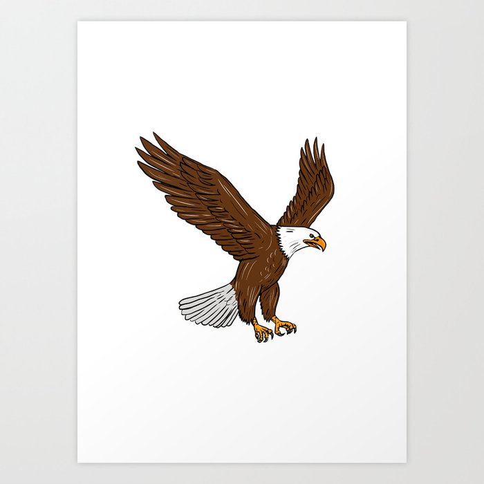 Bald Eagle Flying Drawing Art Print By Patrimonio Society6