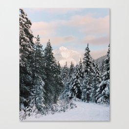 Mt. Hood National Forest Canvas Print