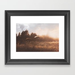 Horses after the Morning Feed Framed Art Print