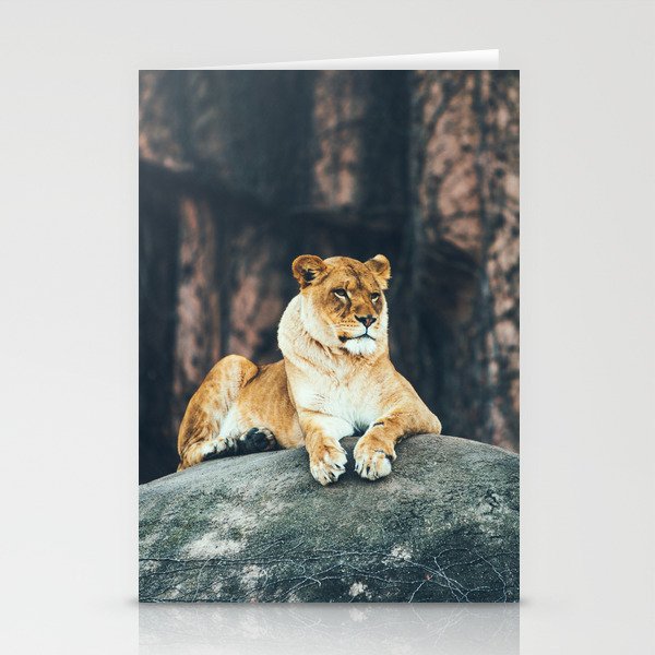 Lion on the rock Stationery Cards