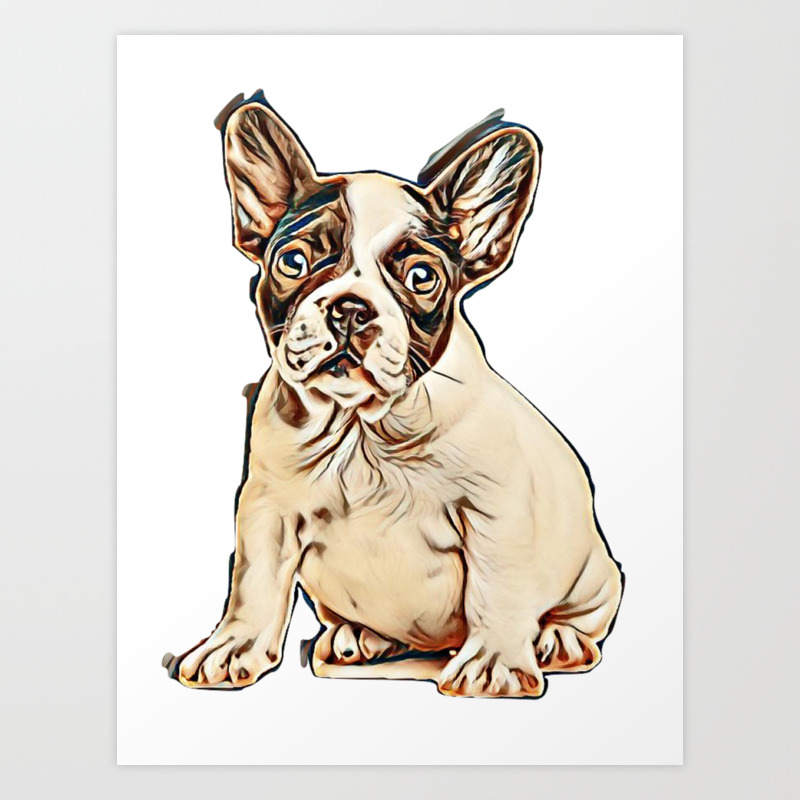 Wallpaper French Bulldog Puppy Portrait On A White Background Image Art For Free