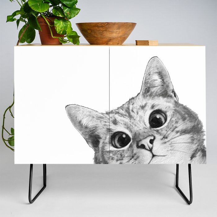 sneaky cat Credenza