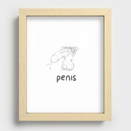 Penis  Recessed Framed Print