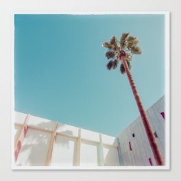 Palm Tree in Palm Springs, Mid Century Modern Photo Canvas Print