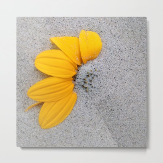 Sunflower in the Sand Metal Print