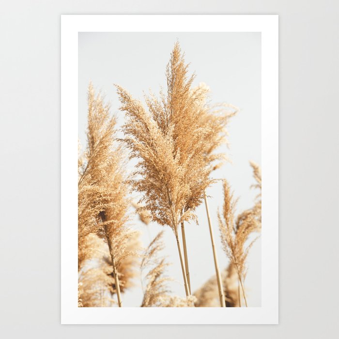 Reeds | Nature Photography | Landscape Art Print